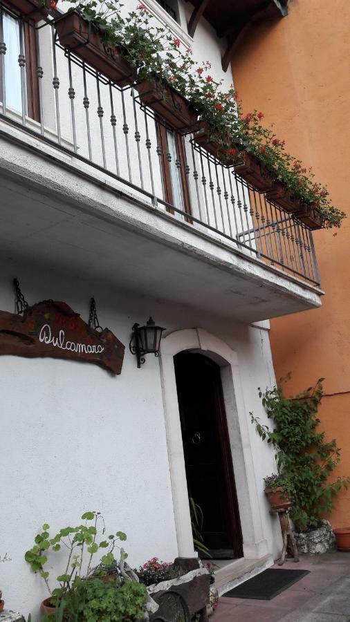 Dulcamara Pescasseroli